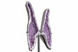 Purple Amethyst Wings on Metal Stand - Large Points #209257-2